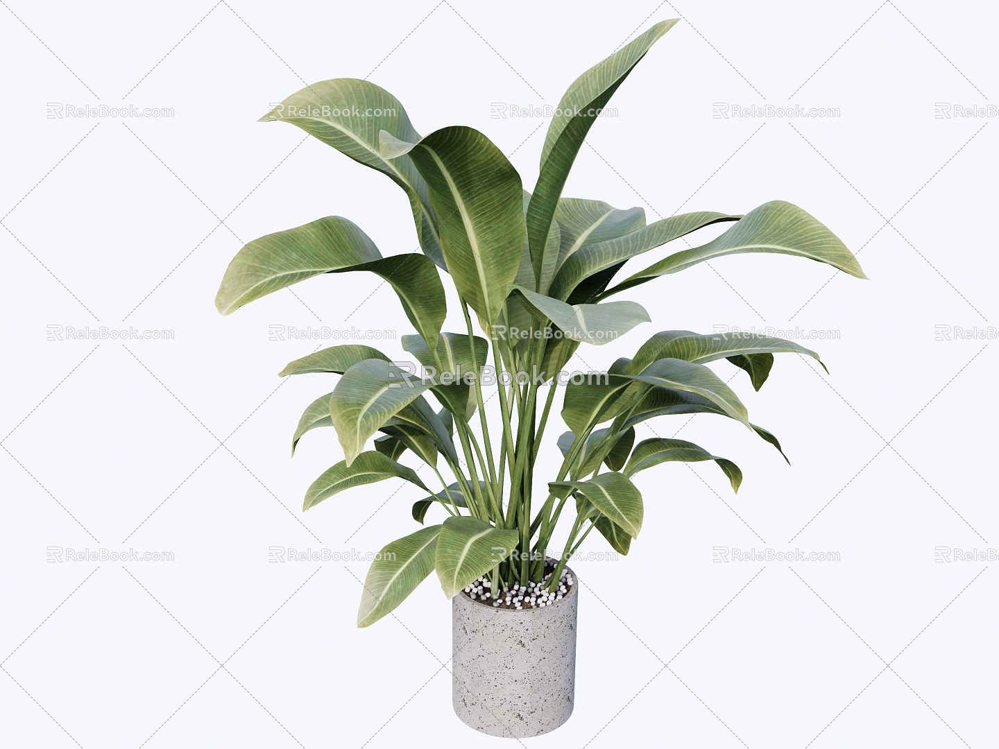 indoor potted plant 3d model