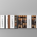 Light Luxury Wardrobe 3d model