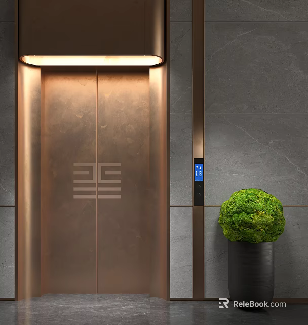 Elegant Modern Elevator Lobby With Bronze Door Geometric Pattern Gray Stone Wall And Green Plant 3d model 