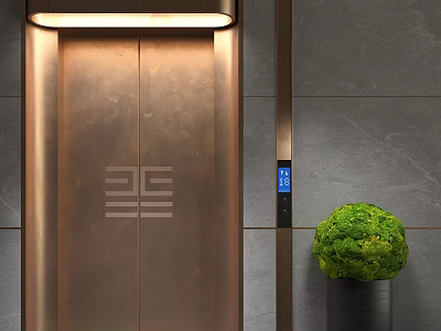 Elegant Modern Elevator Lobby With Bronze Door Geometric Pattern Gray Stone Wall And Green Plant 3d model