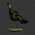 Turkey Taxidermy Mount With Green Brown Feathers On Stone Base Against Gray Background