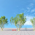 Three Arbor Trees In Design Rendering With Blue Sky White Clouds And Tile Ground 3d model