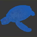Colorful Sea Turtle With Vibrant Shell Patterns And Blue Flippers Isolated On Dark Background