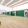 Modern Fitness Studio Interior Featuring Green Walls Dancer Posters Ballet Barre And Exercise Ball
