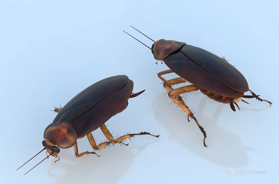 Two Brown Reptiles Crawling On White Surface With Visible Legs And Antennae 3d model 