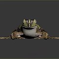 Green Brown Spotted Frog With Detailed Skin Texture And Extended Legs On Dark Background
