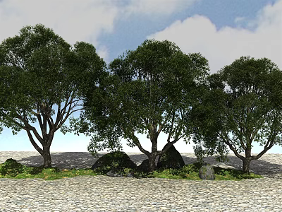 Lush Green Arbor Trees with Thick Trunks Dense Canopies Under Blue Sky on Cobblestone Ground 3d model