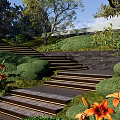 Park Landscape with Stone Steps Lush Green Lawns Trees Stone Walls and Orange Flowers