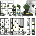 Modern Indoor Hanging Basket Plants With Decorative Shelves And Greenery Design