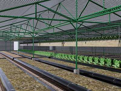 Steel Structure Vegetable Greenhouse Fruit Greenhouse 3d model