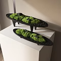 Moss Bonsai Potted Plants On Black Trays With White Cube Base And Soft Light