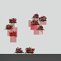 Creative Floral Installation with Transparent Blocks and Red Pink Flowers 3d model