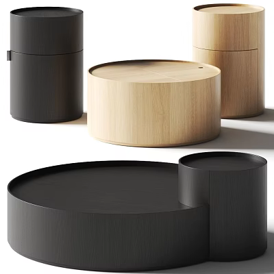 Modern Minimalist Round Coffee Tables With Wooden And Black Stylish Design 3d model
