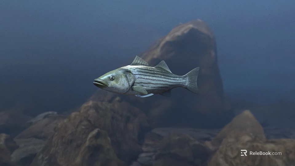 Underwater Scene With Striped Fish Swimming Among Rocks In Aquatic Environment 3d model 