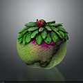 Green And Pink Gradient Decorative Fruit With Lush Green Leafy Top And Red Accent