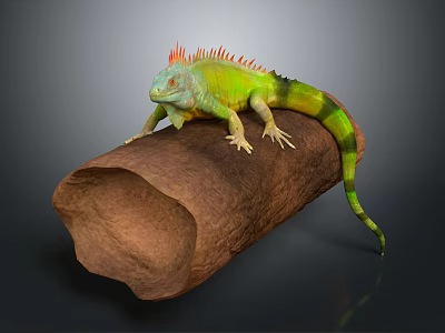 Green Iguana with Orange Spikes Resting on Wooden Log in Studio 3d model