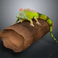 Green Iguana with Orange Spikes Resting on Wooden Log in Studio