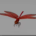 Detailed Vibrant Red Dragonfly With Spread Wings Isolated On Grey Background