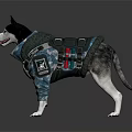 Siberian Husky Dog Wearing Camouflage Tactical Vest With Utility Pockets On White Background