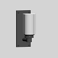 Modern Wall Sconce with Clear Glass Shade and Brushed Metal Frame for Home Lighting
