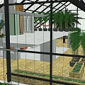Greenhouse Design With Glass Grid Roof Gray Walls Wooden Doors And Grass