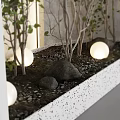 Minimalist Indoor Landscape With Green Leafy Plants And White Decorative Balls