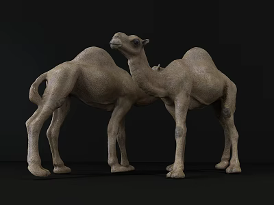 Realistic Reptile Sculptures Featuring Two Animals Against Black Backdrop Design 3d model
