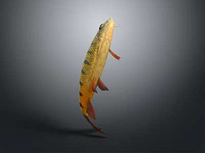 Yellow And Black Striped Decorative Fish Ornament With Red Fins On Gray Background 3d model