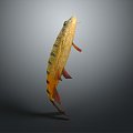 Catfish Carp Sturgeon Bass Freshwater Fish Various Carp Grass Carp Crucian Carp 3d model