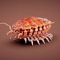 Modern insect beetle 3d model