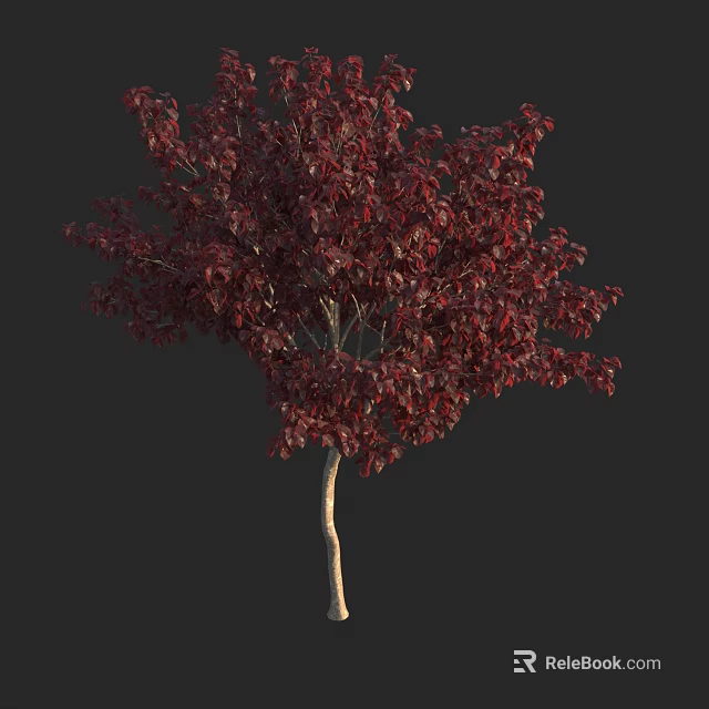 Decorative Arbor With Dark Red Leaves And Slender Trunk For Garden Landscaping 3d model 