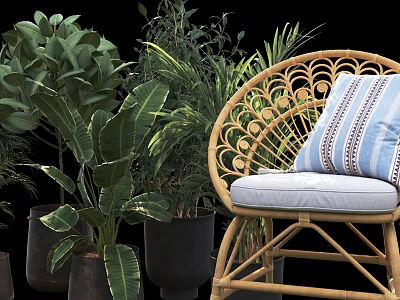Rattan Leisure Chair With Blue And White Striped Cushion Surrounded By Green Plants 3d model