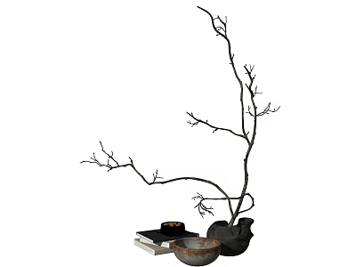 Modern Decorative Black Vase with Leafless Branches Books and Bowl Accent 3d model