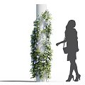 Decorative Green Vines with Purple Flowers Climbing White Pillar Near Female Silhouette in High Heels