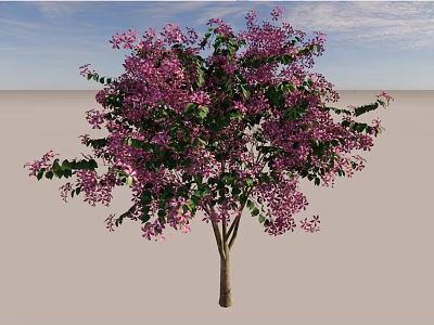 Ornamental Arbor With Purple Flowers And Green Leaves Against Blue Sky 3d model