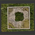 Textured Cube Shaped Concrete Building Structure With Openings And Green Moss
