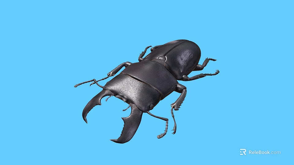 Black Stag Beetle With Large Mandibles On Blue Background Close Up View 3d model 