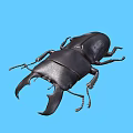 Black Stag Beetle With Large Mandibles On Blue Background Close Up View