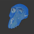 Detailed Handcrafted Monkey Skull Sculpture on Black Background with Reflection