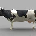 Black And White Holstein Cow Standing In Gray Background 3D Rendering 3d model
