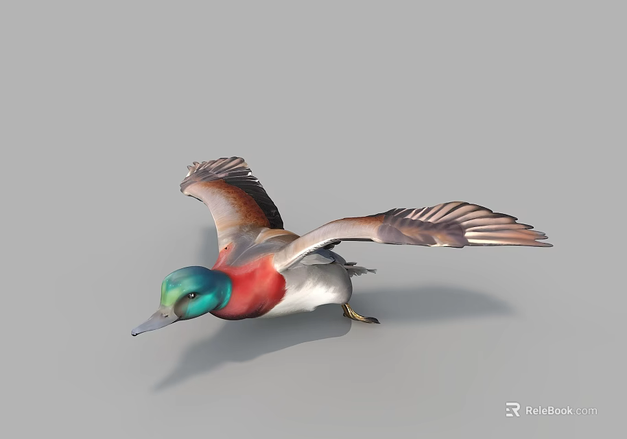 Flying Duck with Green Head Red Neck and Brown Wings in Flight 3d model 