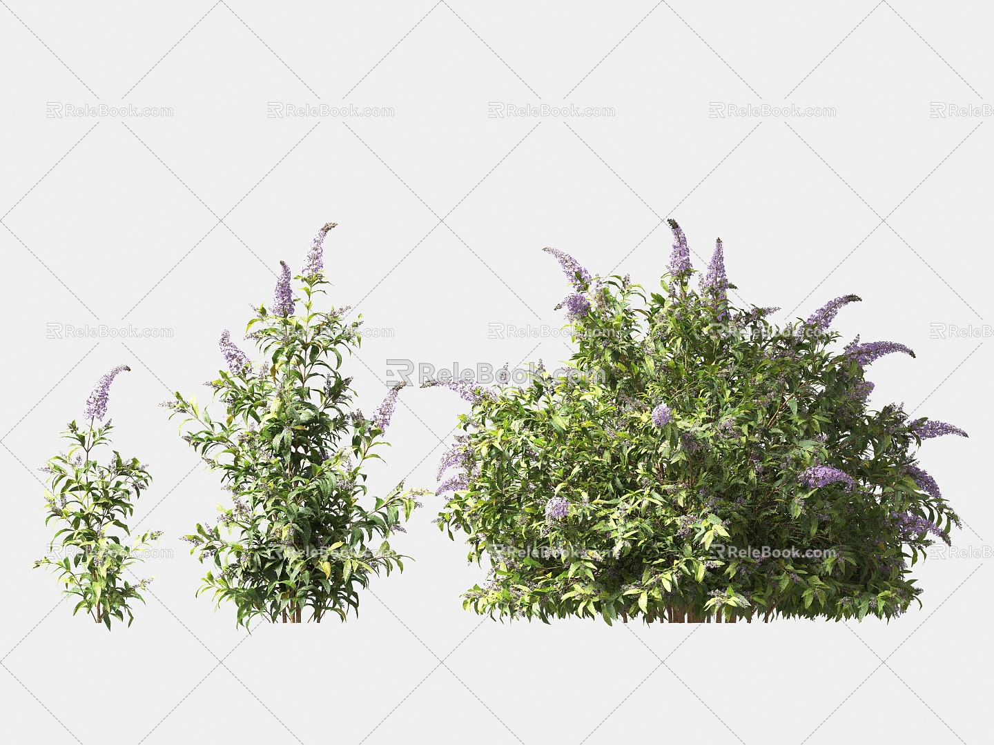 Greening shrubs garden green plants 3d model