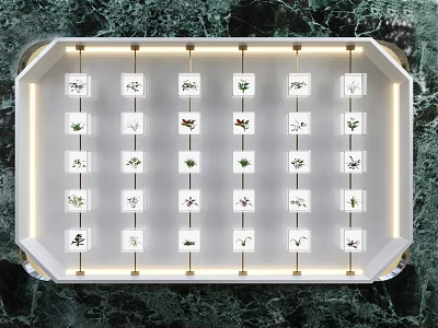 Grid Arranged Illuminated Wall Decorations With Plant Specimens On Marble 3d model