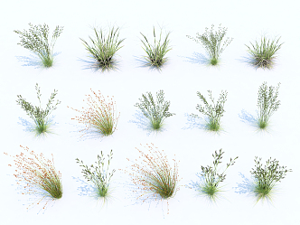 Modern Grass 3d model