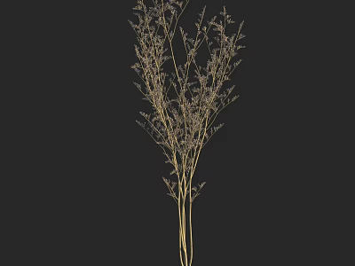 Elegant Vase With Dried Flowers And Slender Stems Small Purple Blooms On Black Background 3d model