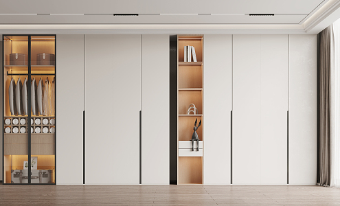 Modern wardrobe 3d model