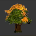 Three Arbor Trees With Orange Yellow Middle And Green Sides On Gray Background With Reflection