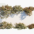 Decorative Climbing Vines With Green And Red Leaves For Garden Landscape
