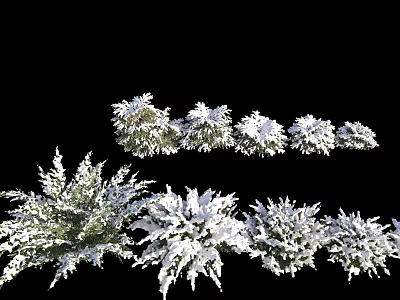 Snow Covered Shrubs In Winter Landscape With Different Sizes And Green Foliage 3d model