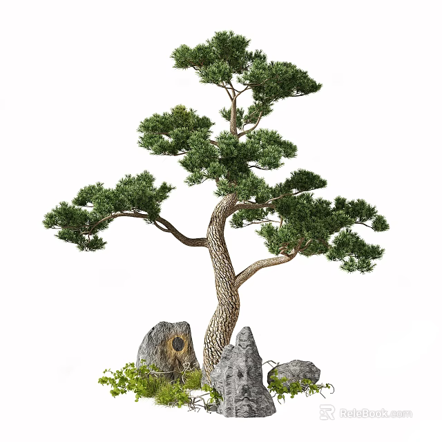 Lush Arbor With Curved Trunk And Foliage Surrounded By Stones And Green Plants 3d model 